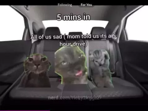 Video by ricky2kggzz