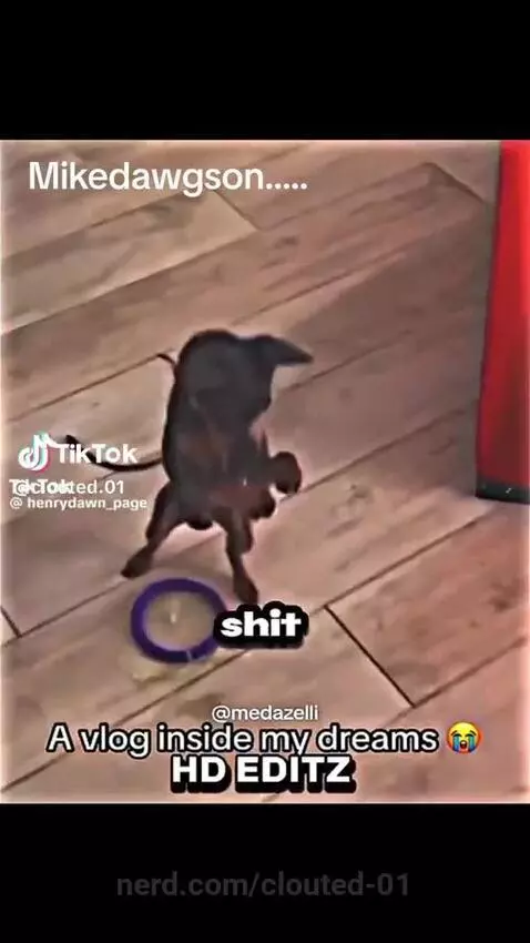 Mikedawgston.. by clouted-01