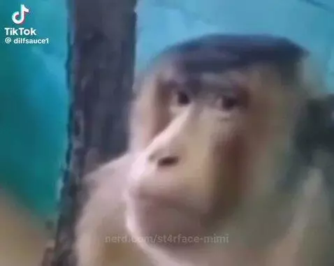 Video by st4rface-mimi