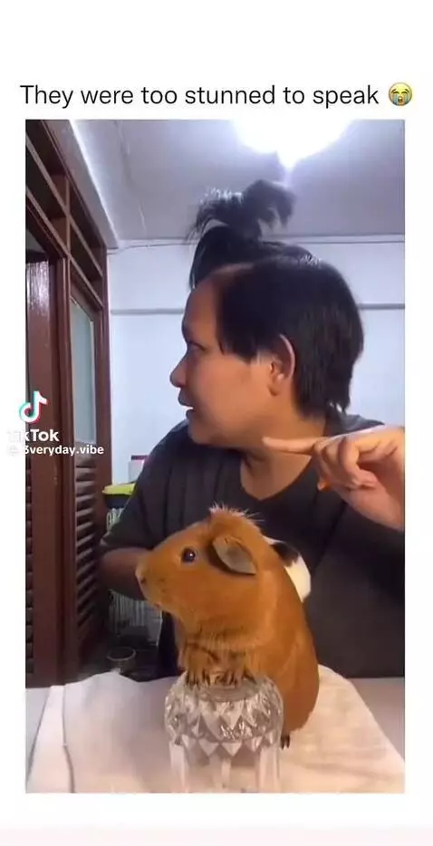 funny by st4rface-mimi