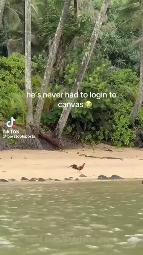 Lucky chicken by st4rface-mimi