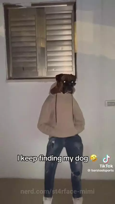 Doggy got drip by st4rface-mimi