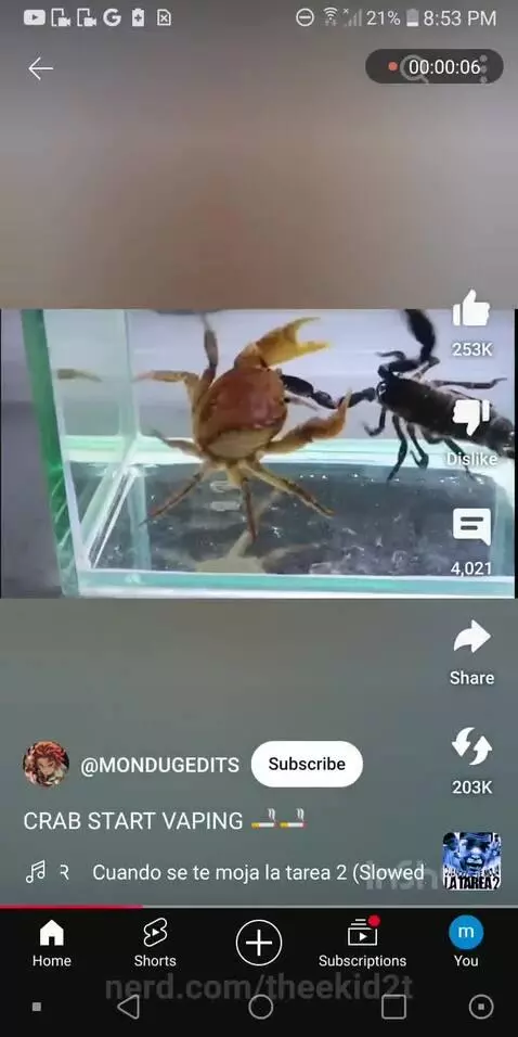 Video by theekid2t