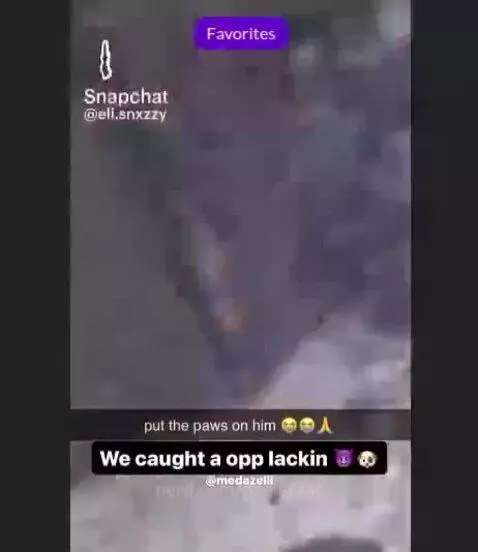 DOGGO CAUGHT A OPP by godisfirst