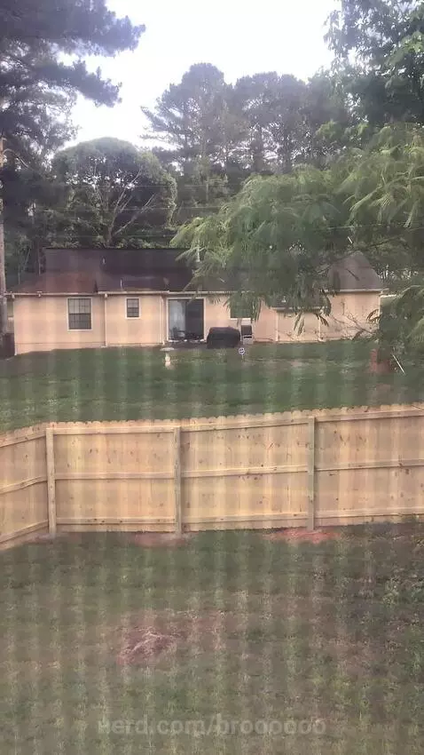Video by broooooo