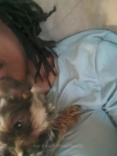 I got new puppies..!!! by itsnotleahh