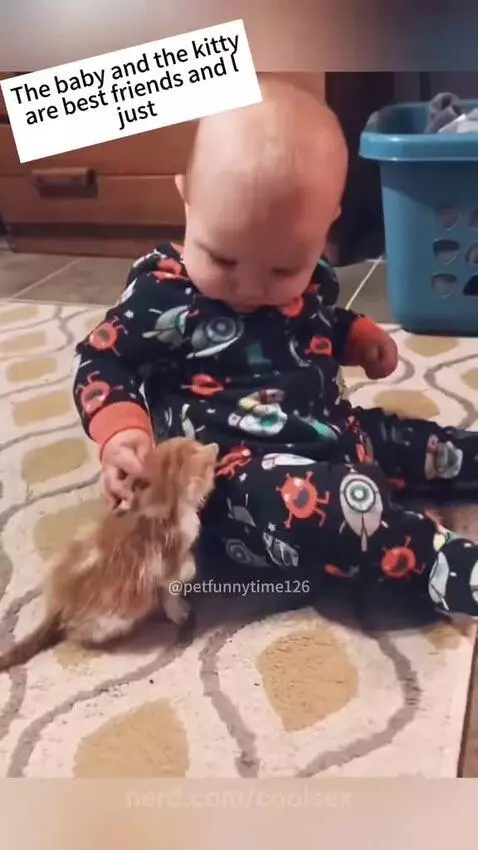 👦: its a raccoon by coolsex