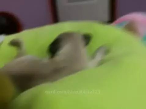 Video by biscuit4life123