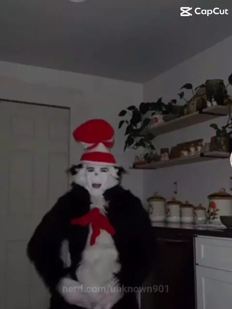 Video by unknown901