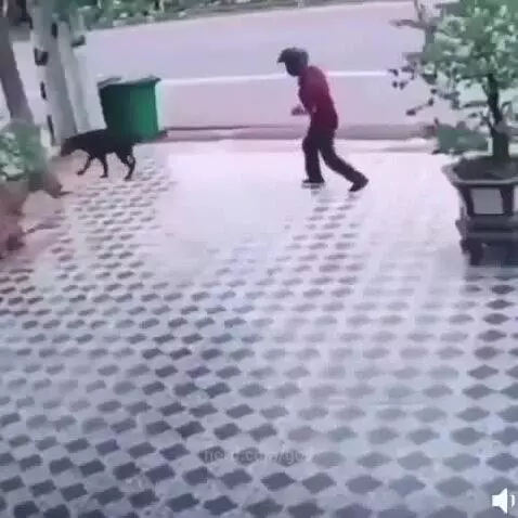 Video by god
