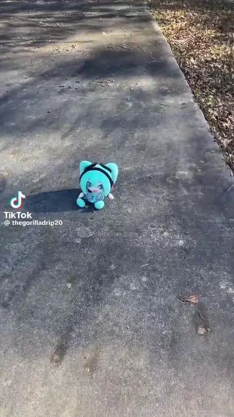 Video by god
