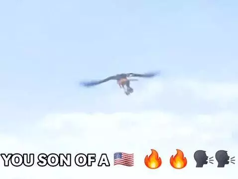 Video by god