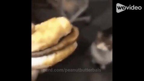 peanutbutterbals