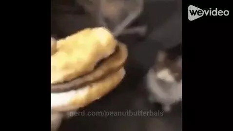 peanutbutterbals