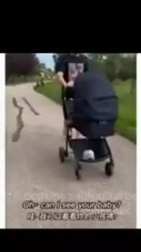 Memes by peanutbutterbals