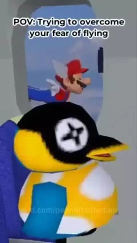 Flying by peanutbutterbals