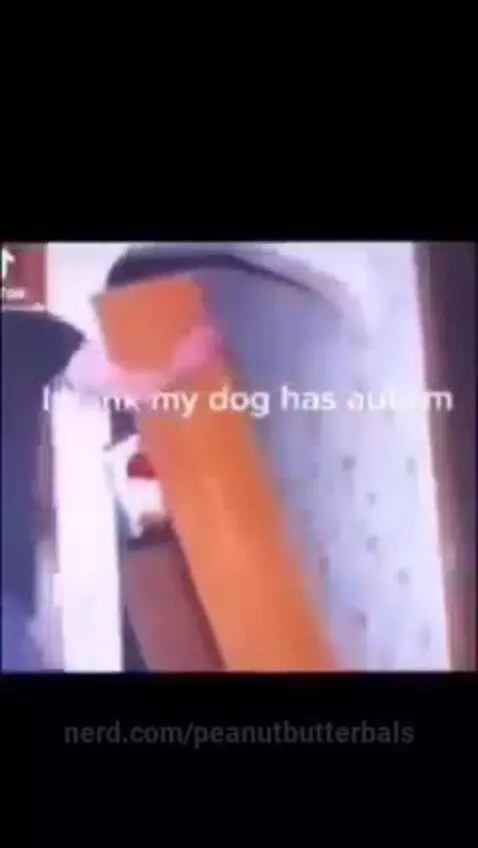 Memes by peanutbutterbals