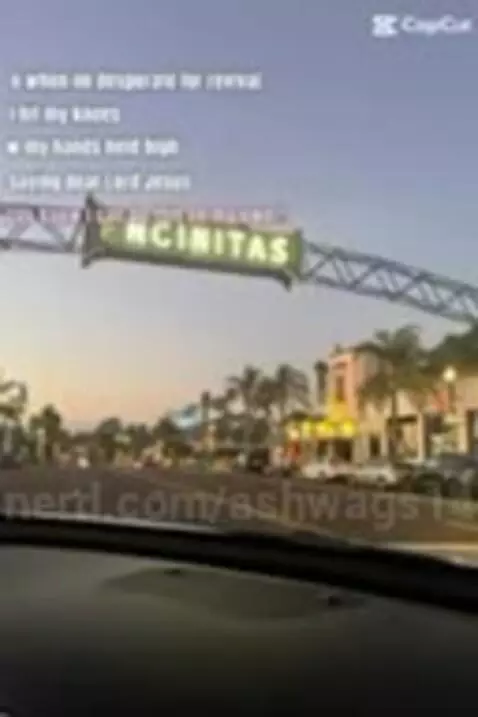 ashwags14 post preview