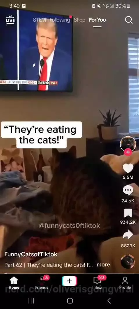Why the cats by oliverisgoingviral
