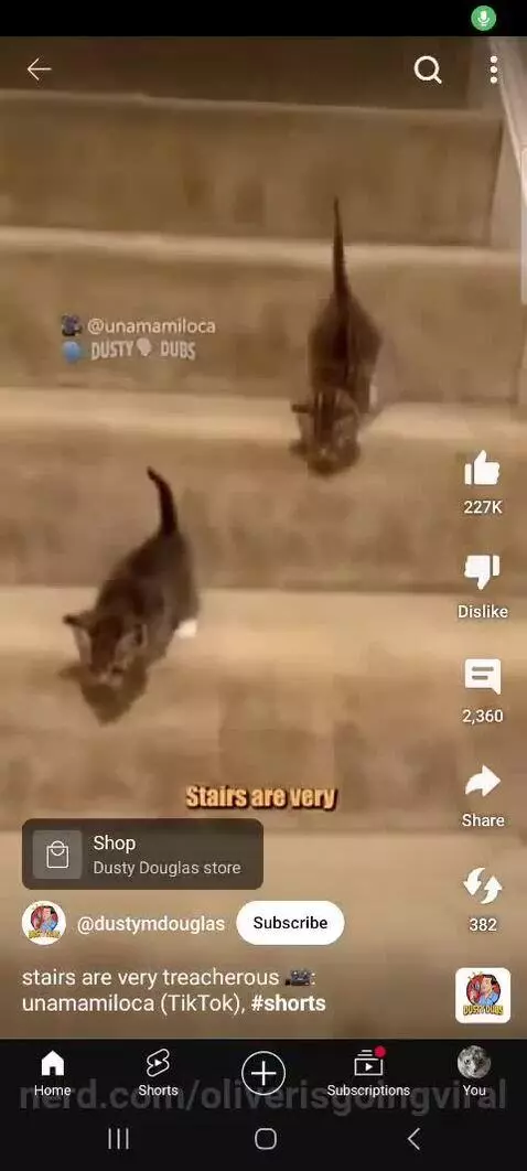 Funny by oliverisgoingviral