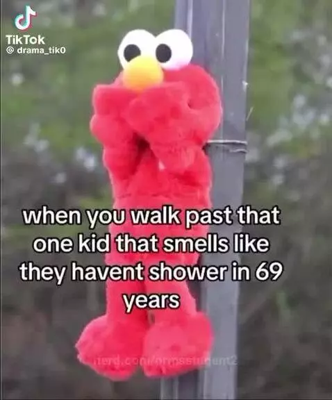 Video by ormsstudent2