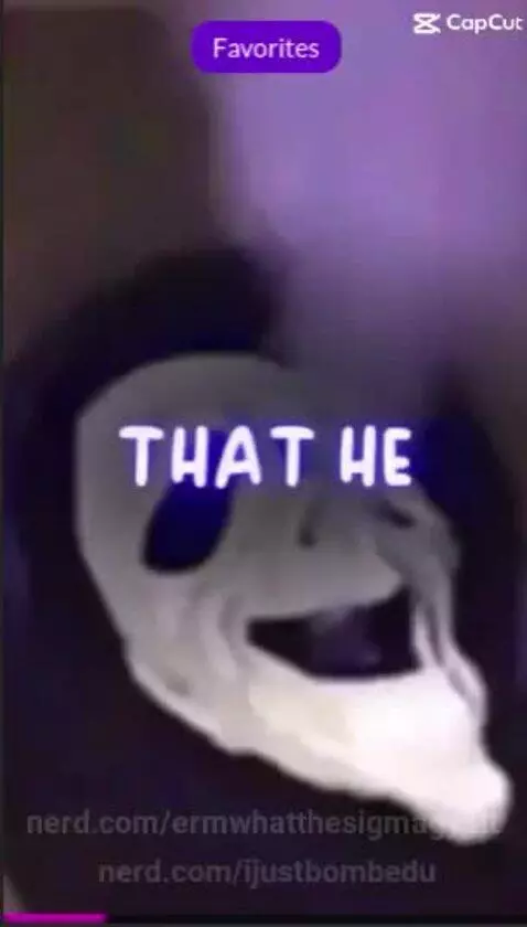 Video by ermwhatthesigmagyatt