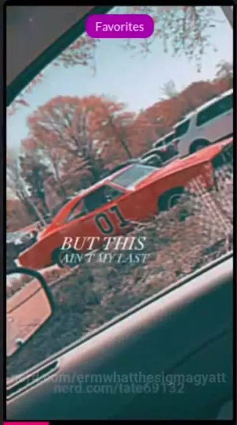 Video by ermwhatthesigmagyatt