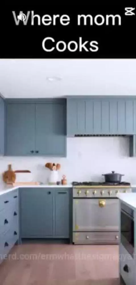 Video by ermwhatthesigmagyatt