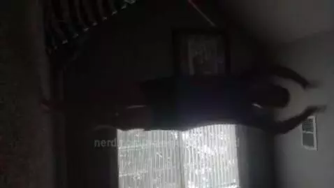 reptilelover caught on camera by mangle101damurd