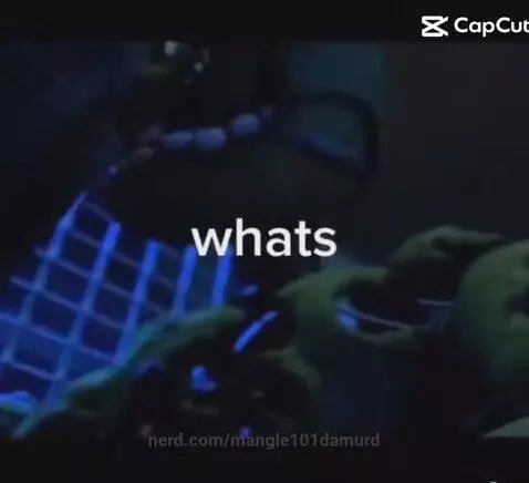 mangle101damurd