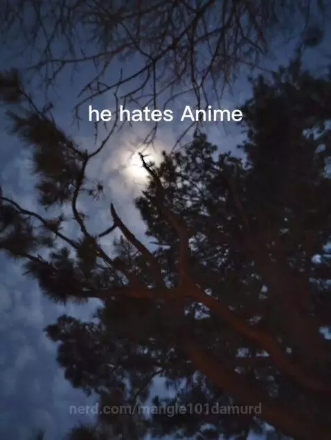 No by mangle101damurd