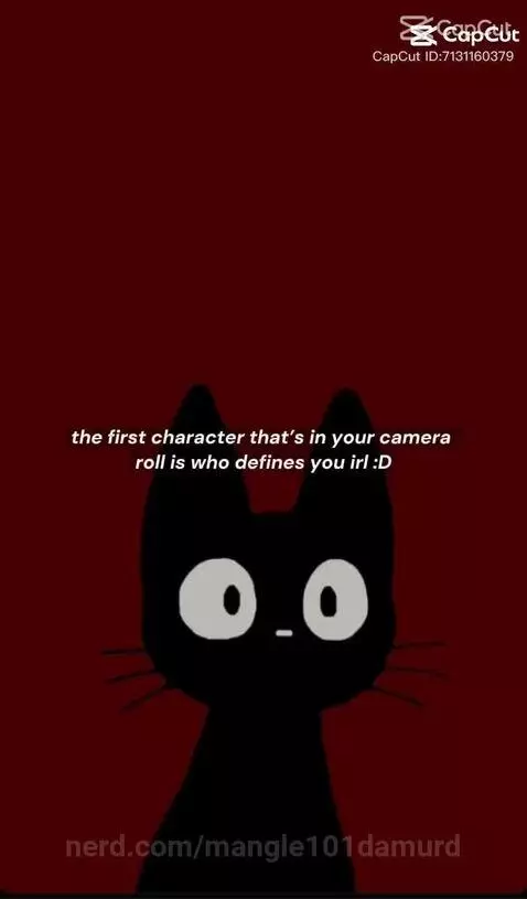 video poster
