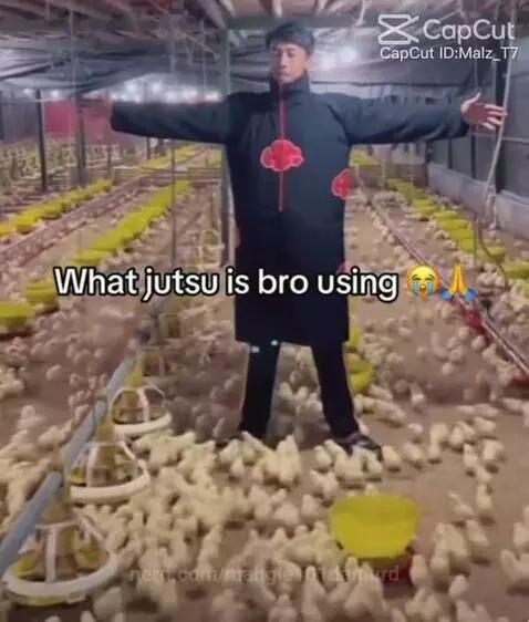 Chicken jujitsu by mangle101damurd