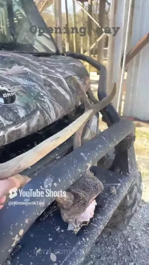 Video by tate69132