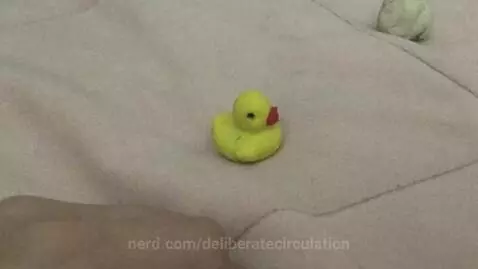 Duck by deliberatecirculation
