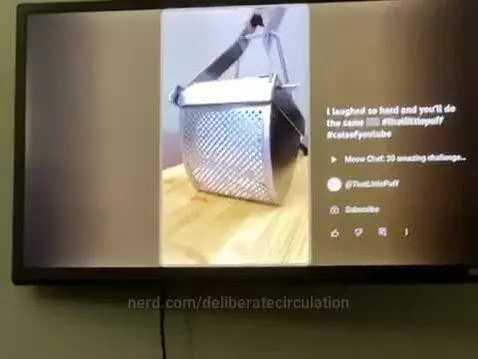 Video by deliberatecirculation