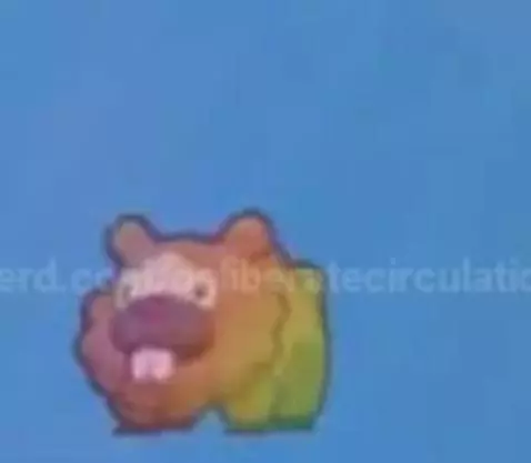 Video by deliberatecirculation