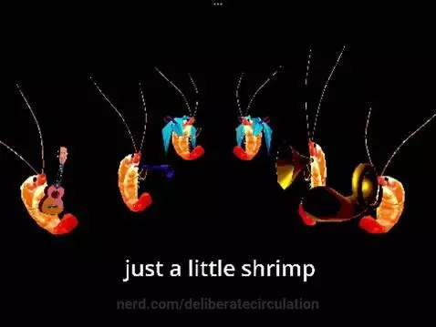 Video by deliberatecirculation