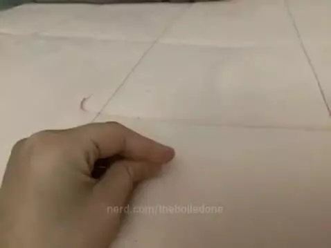 theboiledone post preview