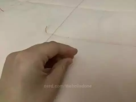 theboiledone post preview