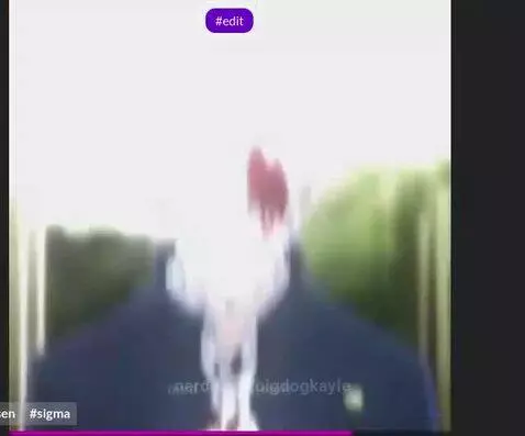 Video by bigdogkayle