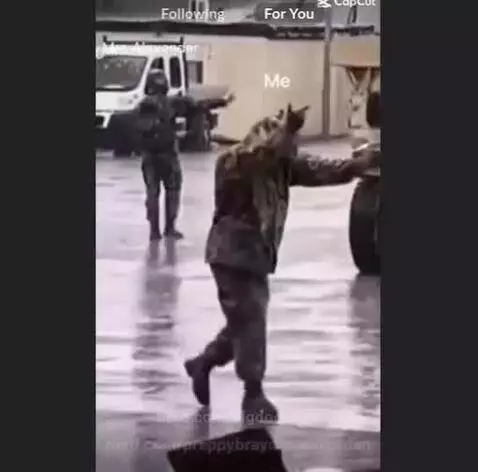 Video by bigdogkayle