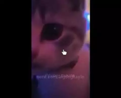 Video by bigdogkayle