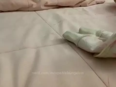 Video by incapablebungalow