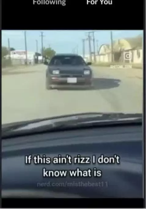 this video is crazy i didnt even know car has rizz danmm!!! by misthebest11