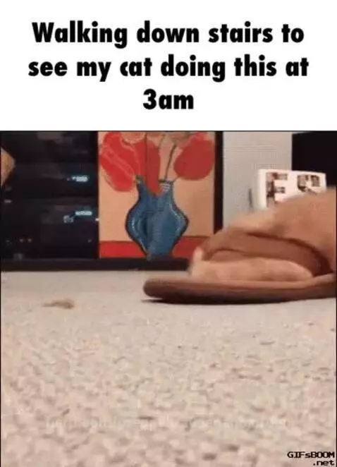 I laughed my heart out hahhahah by preppybraydenandjordan