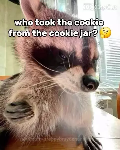 “Vector” by preppybraydenandjordan