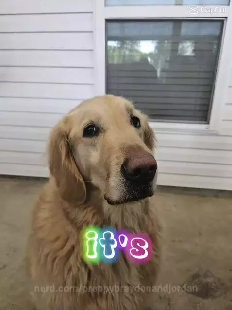 Send this to your friend when they don’t respond by preppybraydenandjordan