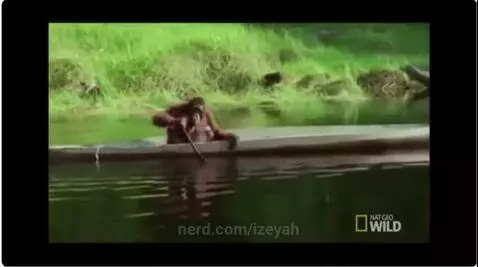 life could be dreams by izeyah