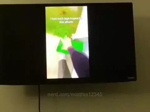 mintfox12345 post preview